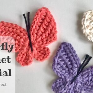 Butterfly Crochet Tutorial | Tunisian Butterfly Applique